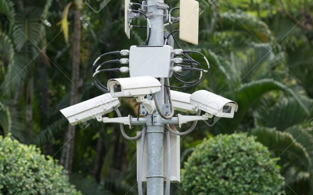 Seguridad en el jardín