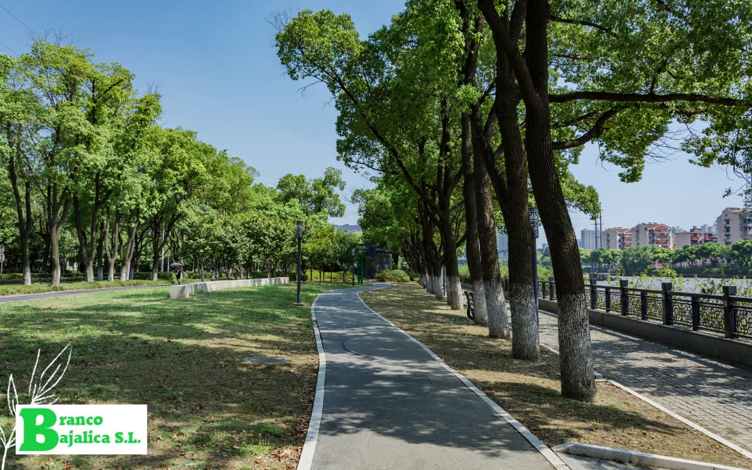 La importancia de la arboricultura en el diseño de paisajes urbanos